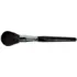 Pinceau Poudre Noir Parisax