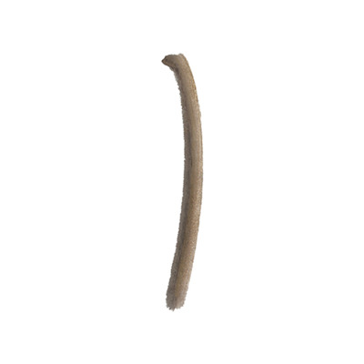 Crayon Colorstay Browlights Pencil N°403 Dark Brown