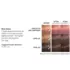 Color Fresh Masque Rose Blaze Wella