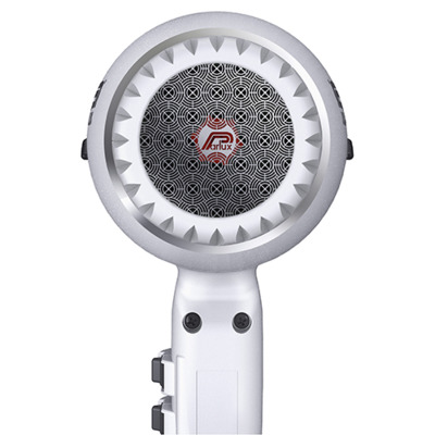 Sèche-cheveux Digitalyon Argent Parlux