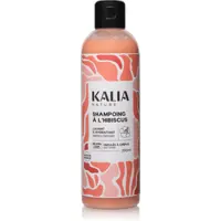 Shampoing à l'Hibiscus Kalia Nature 250ml