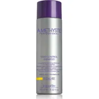 Shampooing Sebo Control Regulate Amethyste