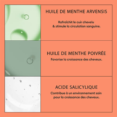 Shampoing System 4 Chute Avancée Cheveux Abîmés/Colorés Nioxin 300ml