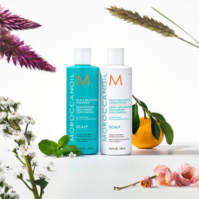 Shampoing Equilibrant Cuir Chevelu Scalp Care Moroccanoil 250ml