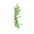 Shampooing Antipelliculaire Nat&Nove Bio