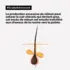 Shampooing Dermo-purifiant Scalp Advanced L'Oréal Pro 500ml