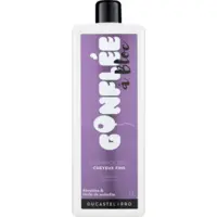 Shampooing Gonflée à Bloc Ducastel Pro 1L