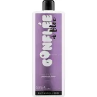 Shampooing Gonflée à Bloc Ducastel Pro 500ml