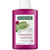 Shampooing Hydratation Brillance 72H Figuier de Barbarie Klorane 200ml