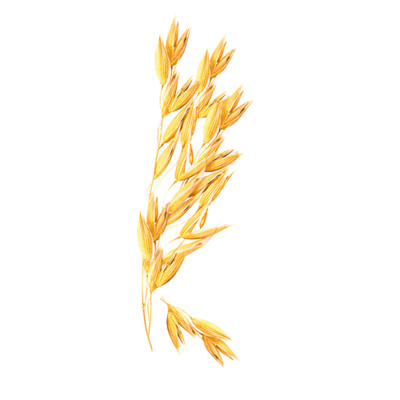 Shampooing Nourrissant Nat&Nove Bio