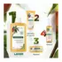 Shampooing Nutrition Mangue Klorane 100ml