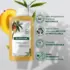 Shampooing Nutrition Mangue Klorane 400ml