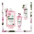 Shampooing Apaisant Pivoine Bio Klorane 100ml