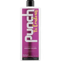 Shampooing Punch Ta Couleur Ducastel Pro 500ml
