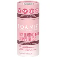 Shampooing Sec Poudre Berry Fresh Foamie