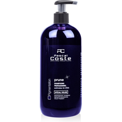 Shampooing Sublimateur de reflets Prune 500 ml
