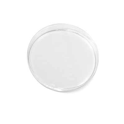Sérum Redensifiant Stémoxydine 5% Thickening Redken
