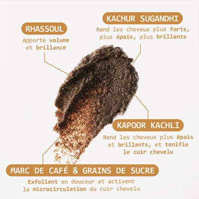 Volume Ayurvedic Shampoo Cut by Fred